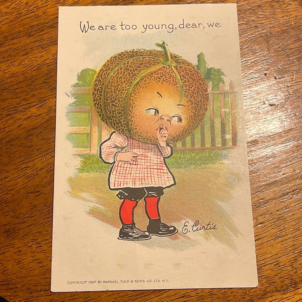 Tucks Antique postcard. Excellent condition. Uncirculated.